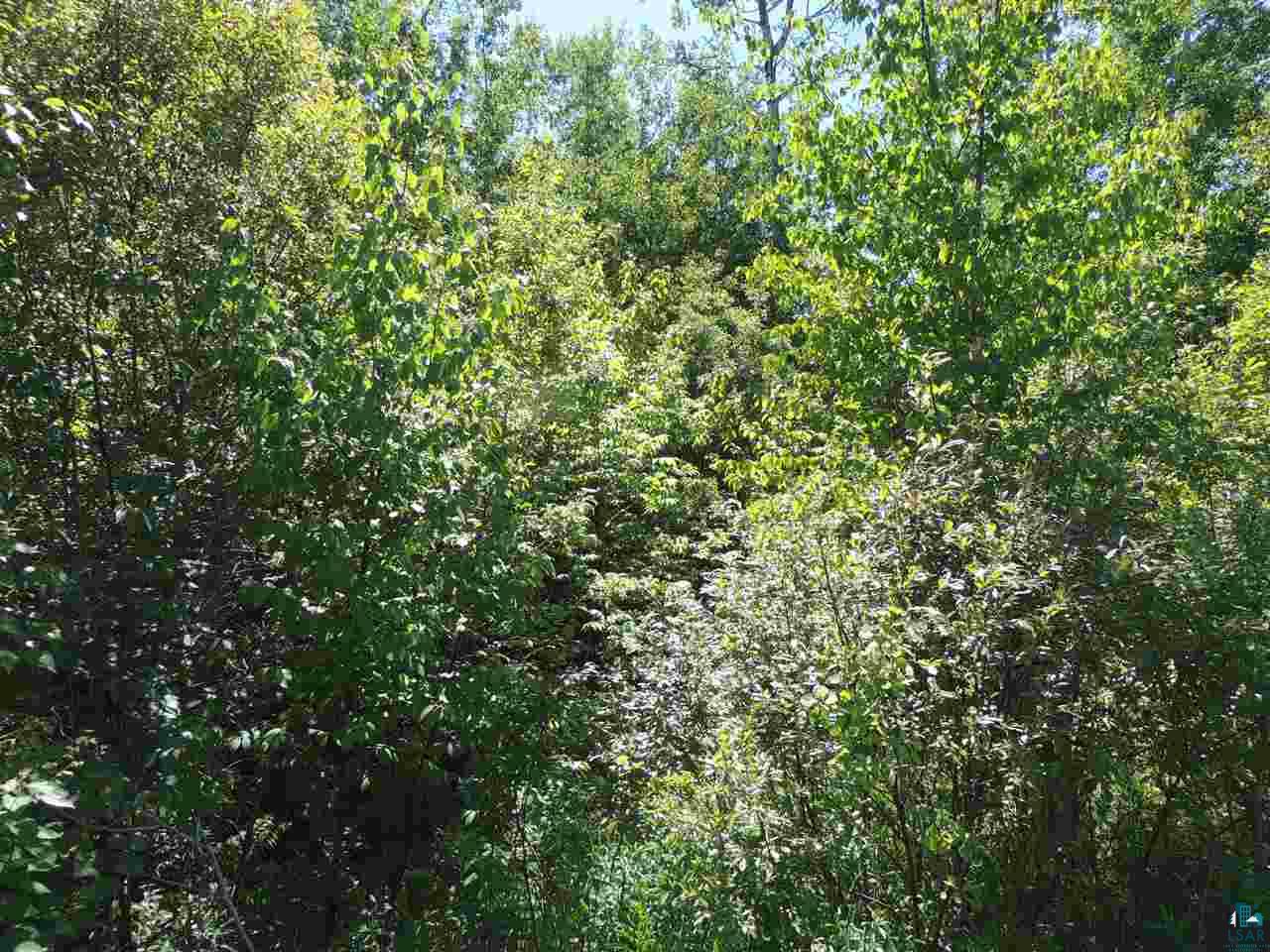 X33 Isak Ridge Lutsen, MN 55612 - Photo 3 of 9