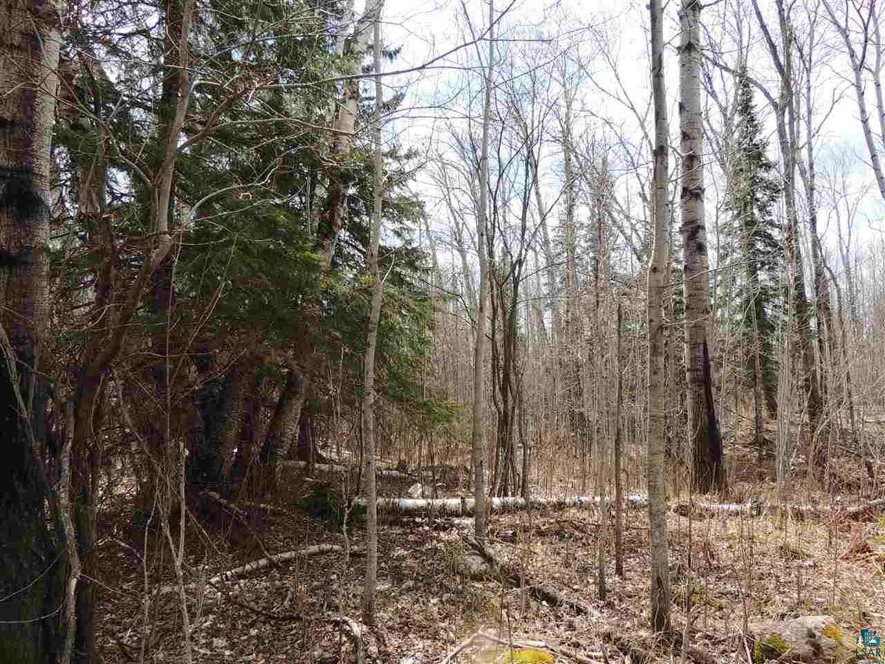 X33 Isak Ridge Lutsen, MN 55612 - Photo 4 of 9