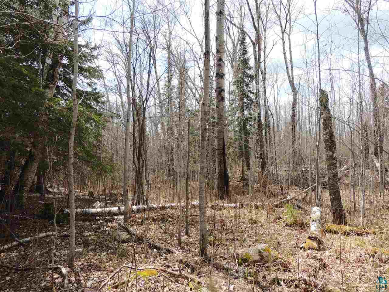 X33 Isak Ridge Lutsen, MN 55612 - Photo 8 of 9