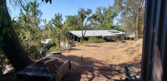 a view of a yard with plants and trees