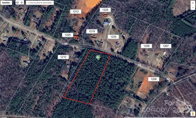 a view of a park with large trees