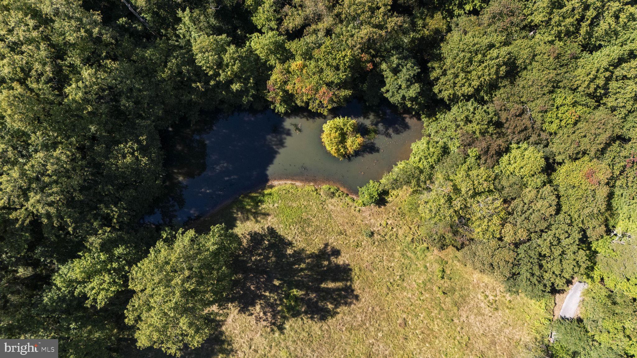 16112 Barnesville Road Boyds, MD 20841 - Photo 75 of 94 Pond