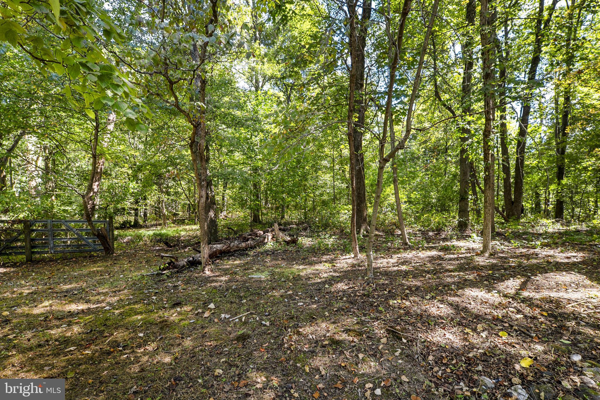 16112 Barnesville Road Boyds, MD 20841 - Photo 81 of 94