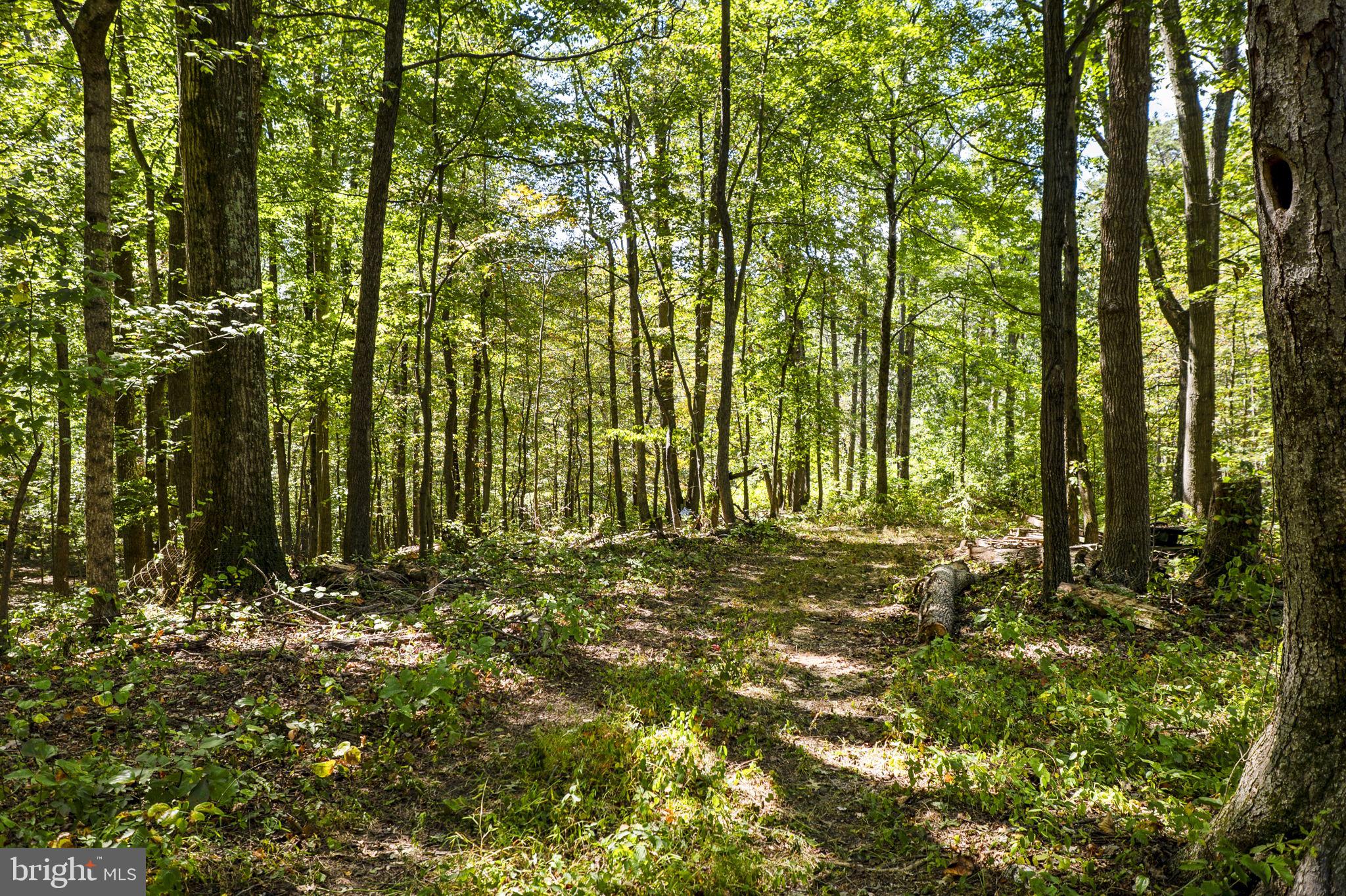 16112 Barnesville Road Boyds, MD 20841 - Photo 85 of 94