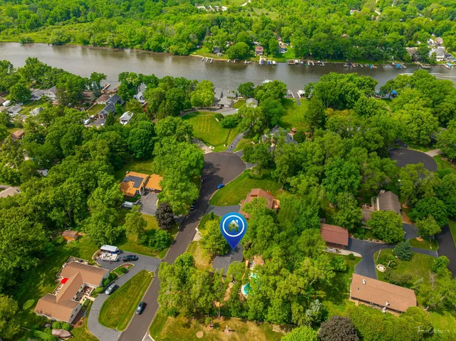a view of a garden with plants and large trees