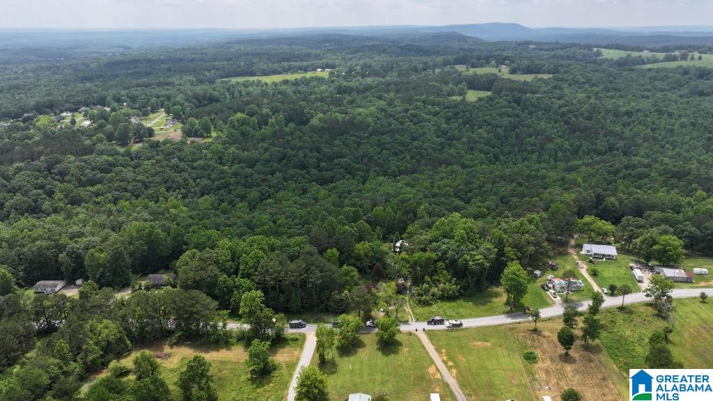 570 Culwell Road Hayden, AL 35079 - Photo 1 of 21