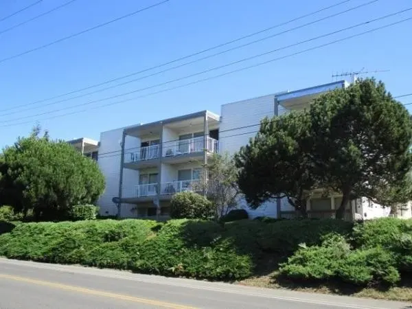 a view of a building with potted plants and large trees