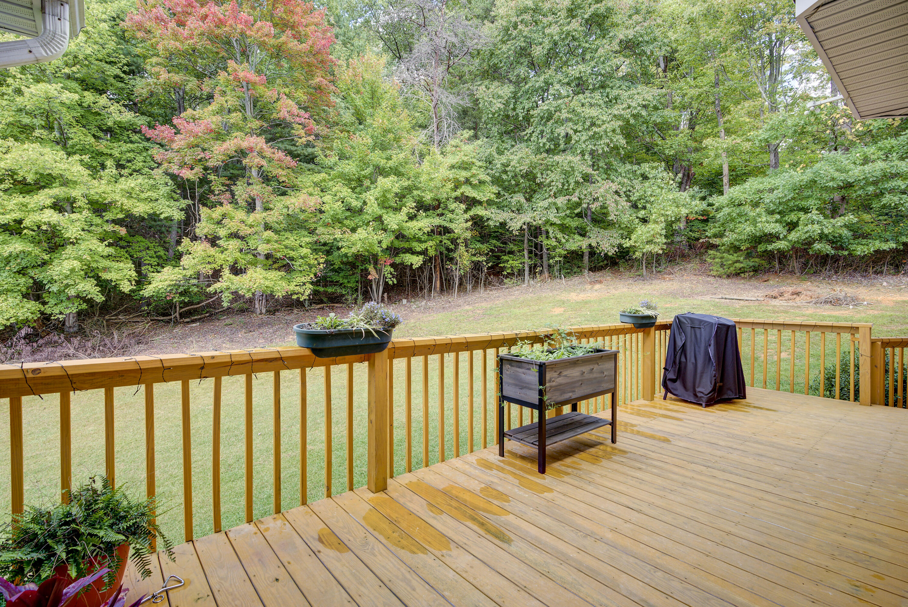 3035 Marbleton Road Unicoi, TN 37692 - Photo 36 of 58 Back Deck