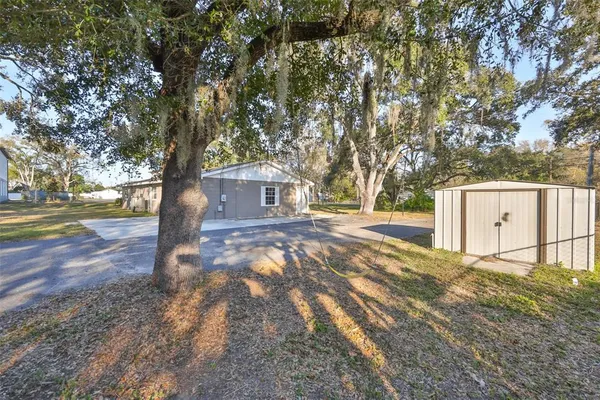 a view of yard with tree