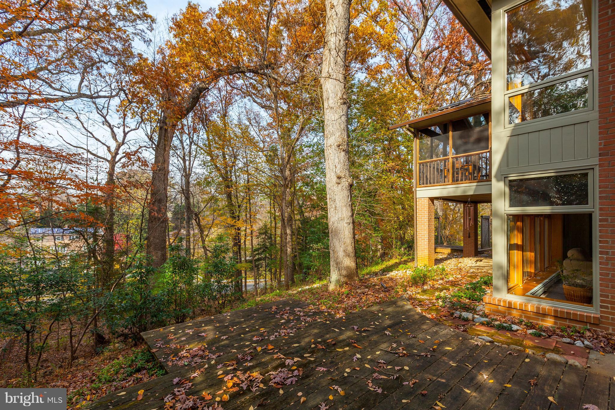 3309 Brooklawn Terrace Chevy Chase, MD 20815 - Photo 24 of 25 Rear View