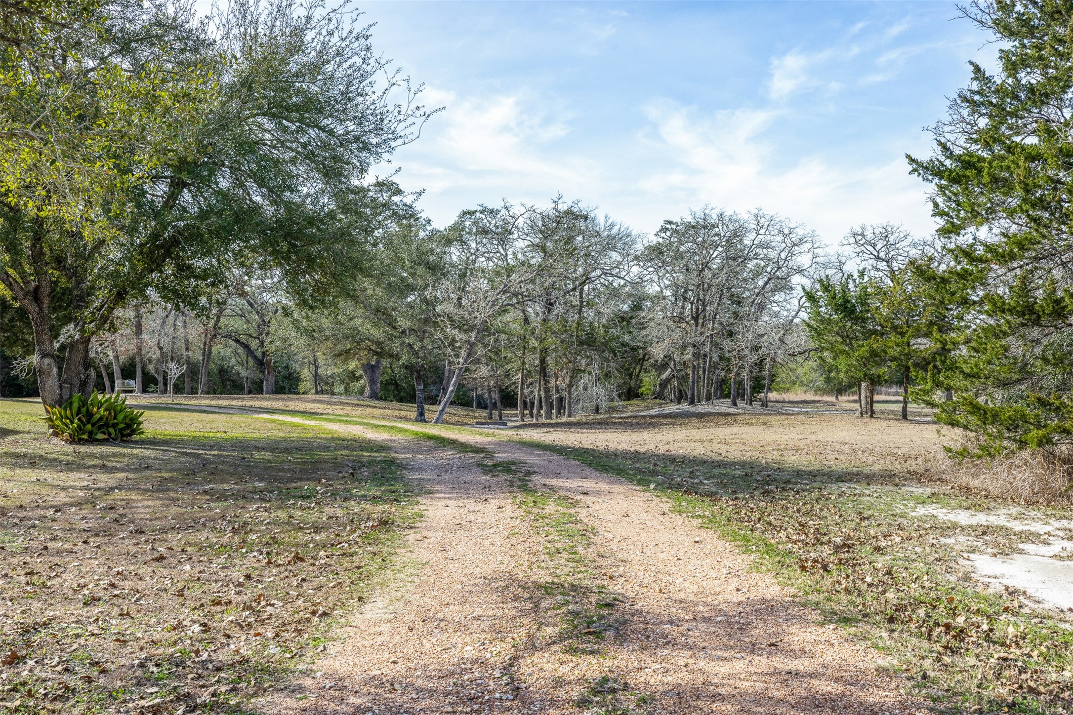 5535 Mach Road La Grange, TX 78945 - Photo 5 of 28