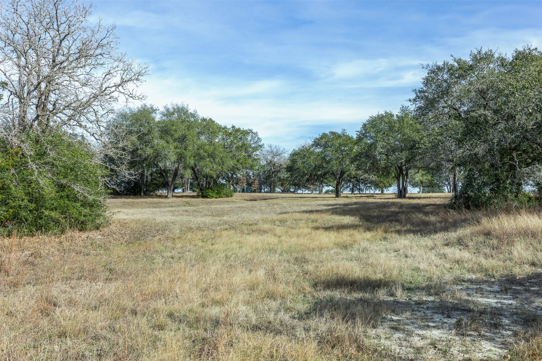 5535 Mach Road La Grange, TX 78945 - Photo 6 of 28