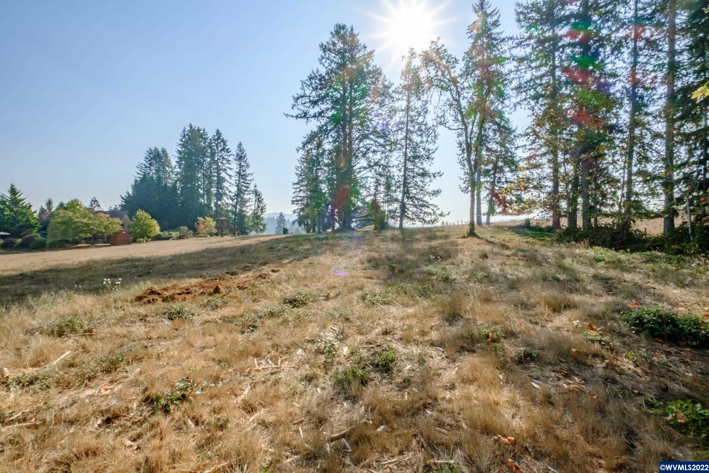 25668 Rice (parcel Road Sweet Home, OR 97386 - Photo 10 of 16 Gallery Image 10