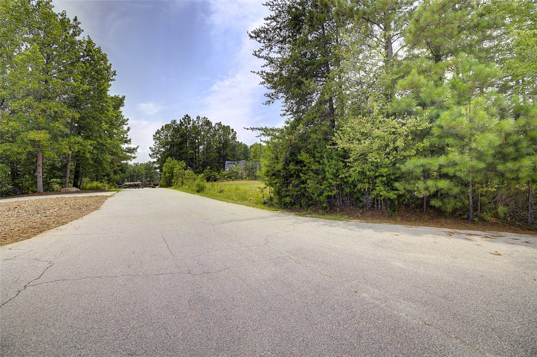 Lot 24 Reservoir Road West Union, SC 29696 - Photo 11 of 46 Mature trees line this paved street, offering a serene backdrop for your future home.