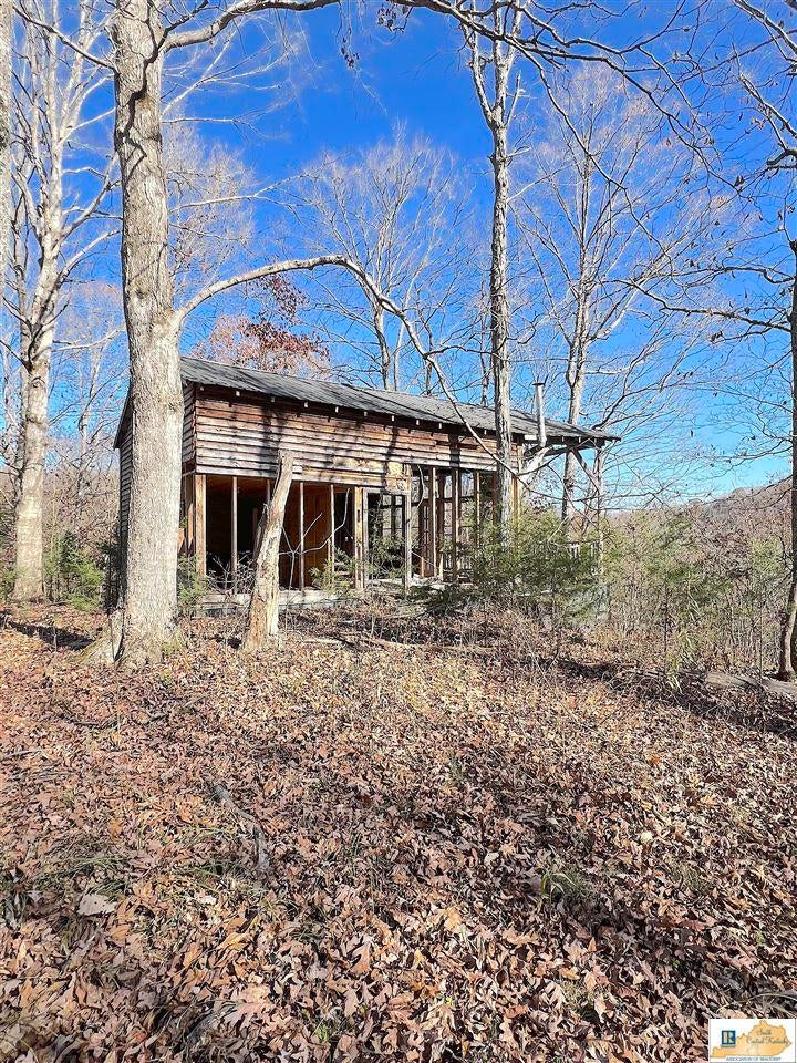 251 Crocus View Road Glens Fork, KY 42741 - Photo 41 of 54 Gallery Image 41