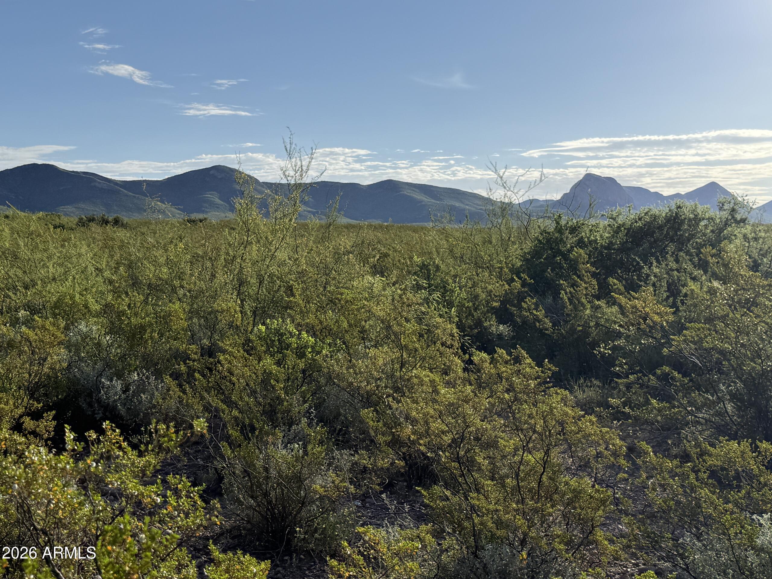 0 Valley Springs, Unit 64 Douglas, AZ 85607 - Photo 2 of 6 IMG_0352-scaled