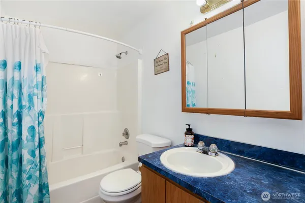 a bathroom with a sink toilet a mirror and shower