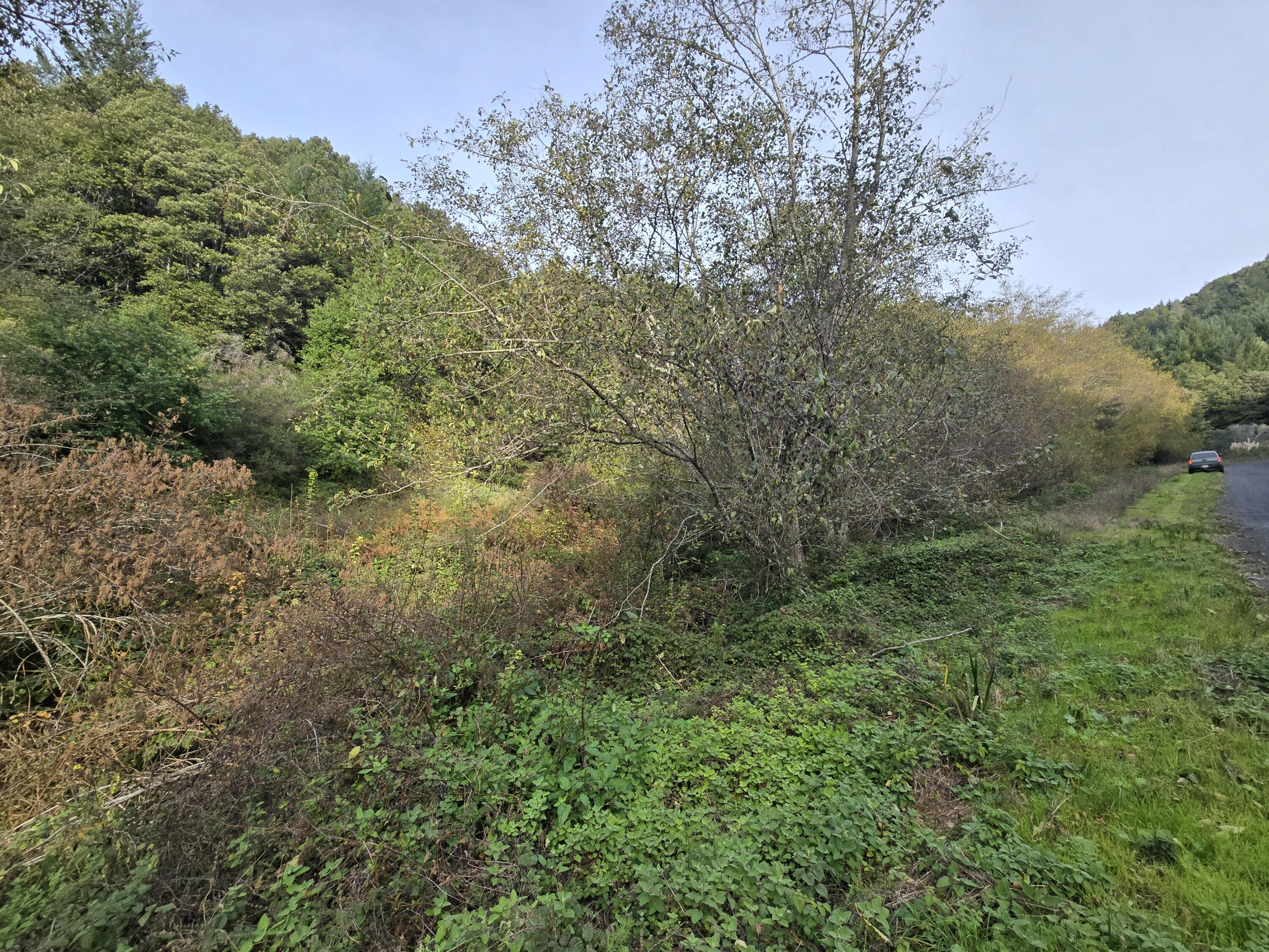 000 Wolverine Way Whitethorn, CA 95589 - Photo 8 of 9 20251203_100341