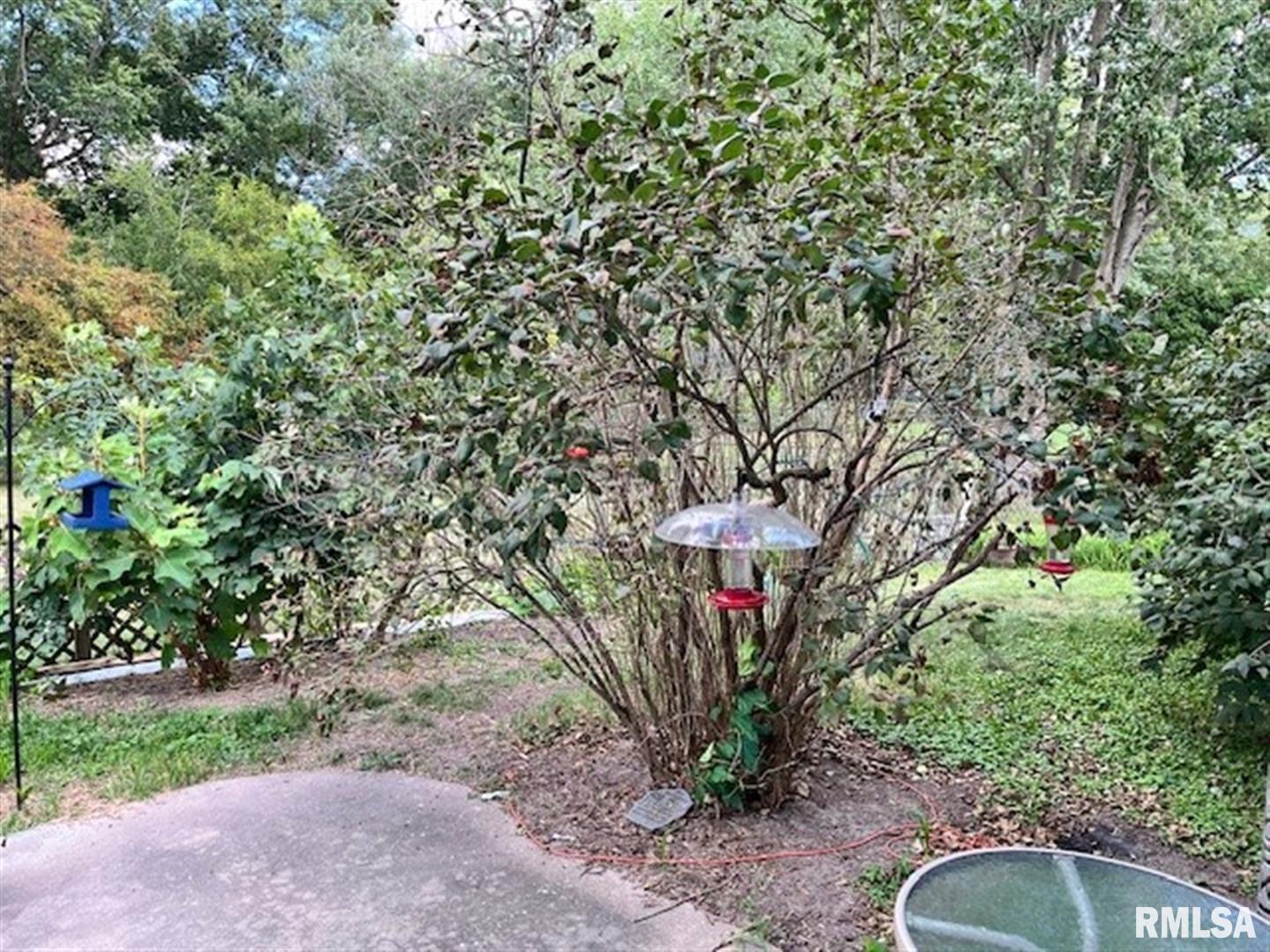 706 Meadow Drive Macomb, IL 61455 - Photo 35 of 39