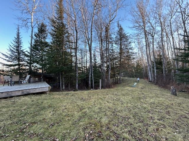 67 Flute Reed Road Hovland, MN 55606 - Photo 26 of 47