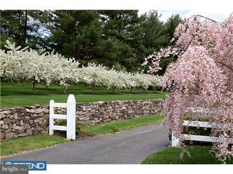 4700 Province Line Road Princeton, NJ 08540 - Photo 20 of 25