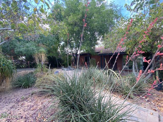 808 East Lamar Road Phoenix, AZ 85014 - Photo 25 of 25 IMG_0013