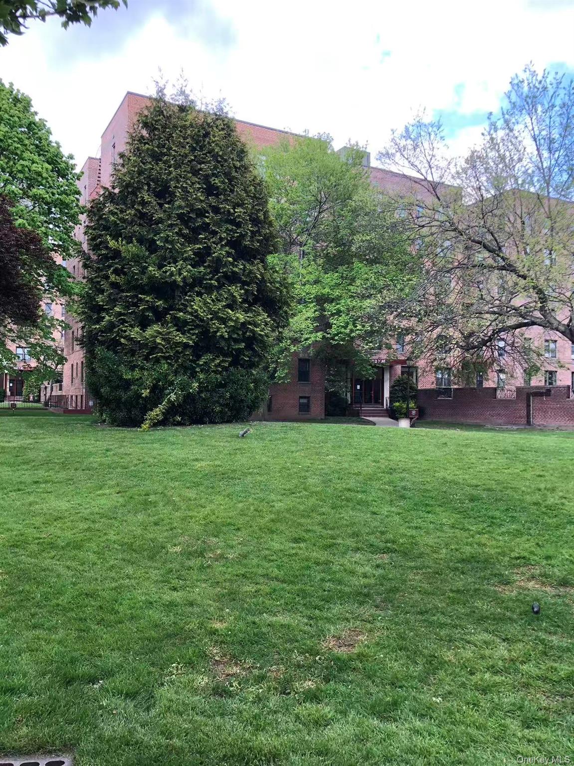 150-25 72nd Road, Unit 1L Queens, NY 11367 - Photo 3 of 12 a view of yard with grass and a fountain