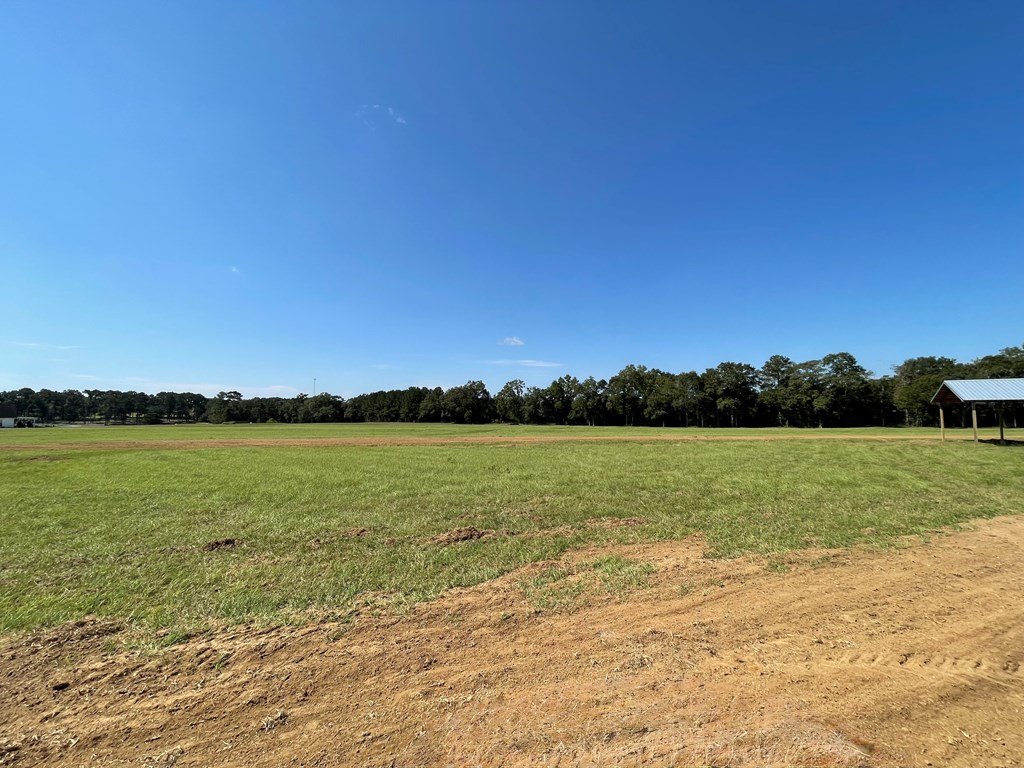 3 Iris Road Dothan, AL 36301 - Photo 3 of 6