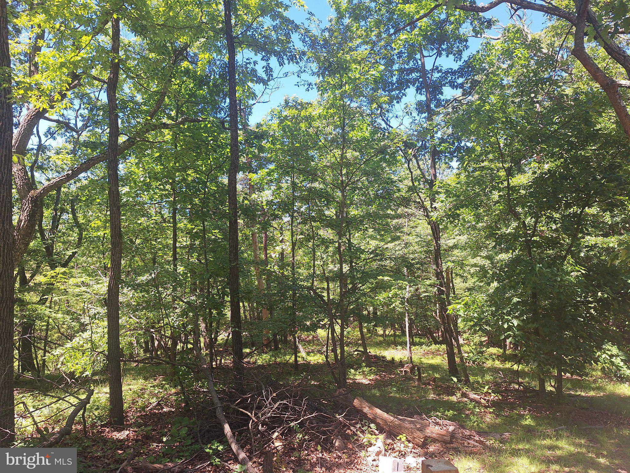 71 Trapper Ridge Lane Hedgesville, WV 25427 - Photo 18 of 36