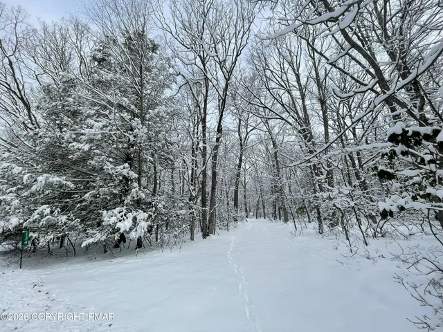 a view of outdoor space with trees