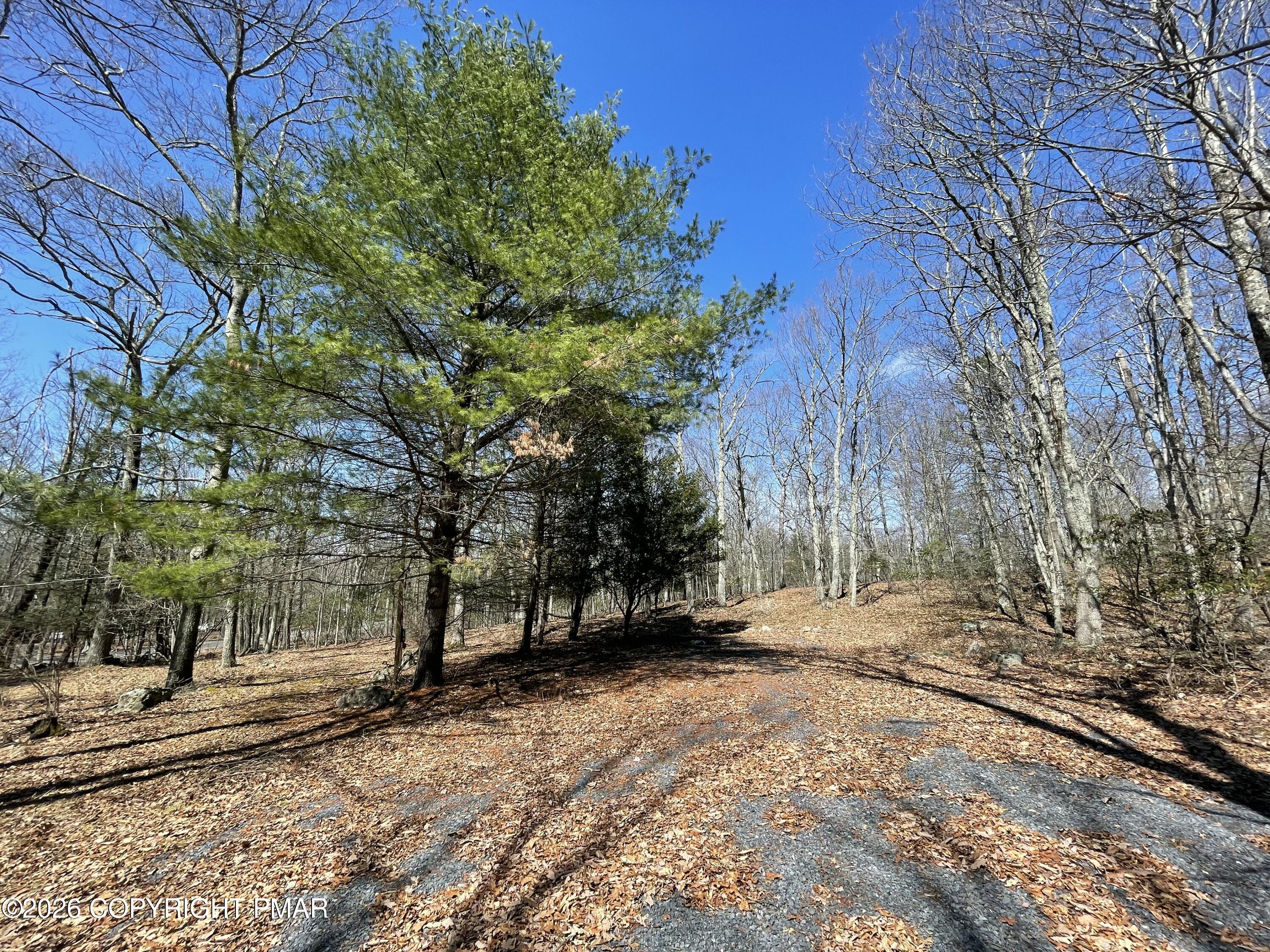 134 Maple Drive Cresco, PA 18326 - Photo 2 of 9 a view of backyard space