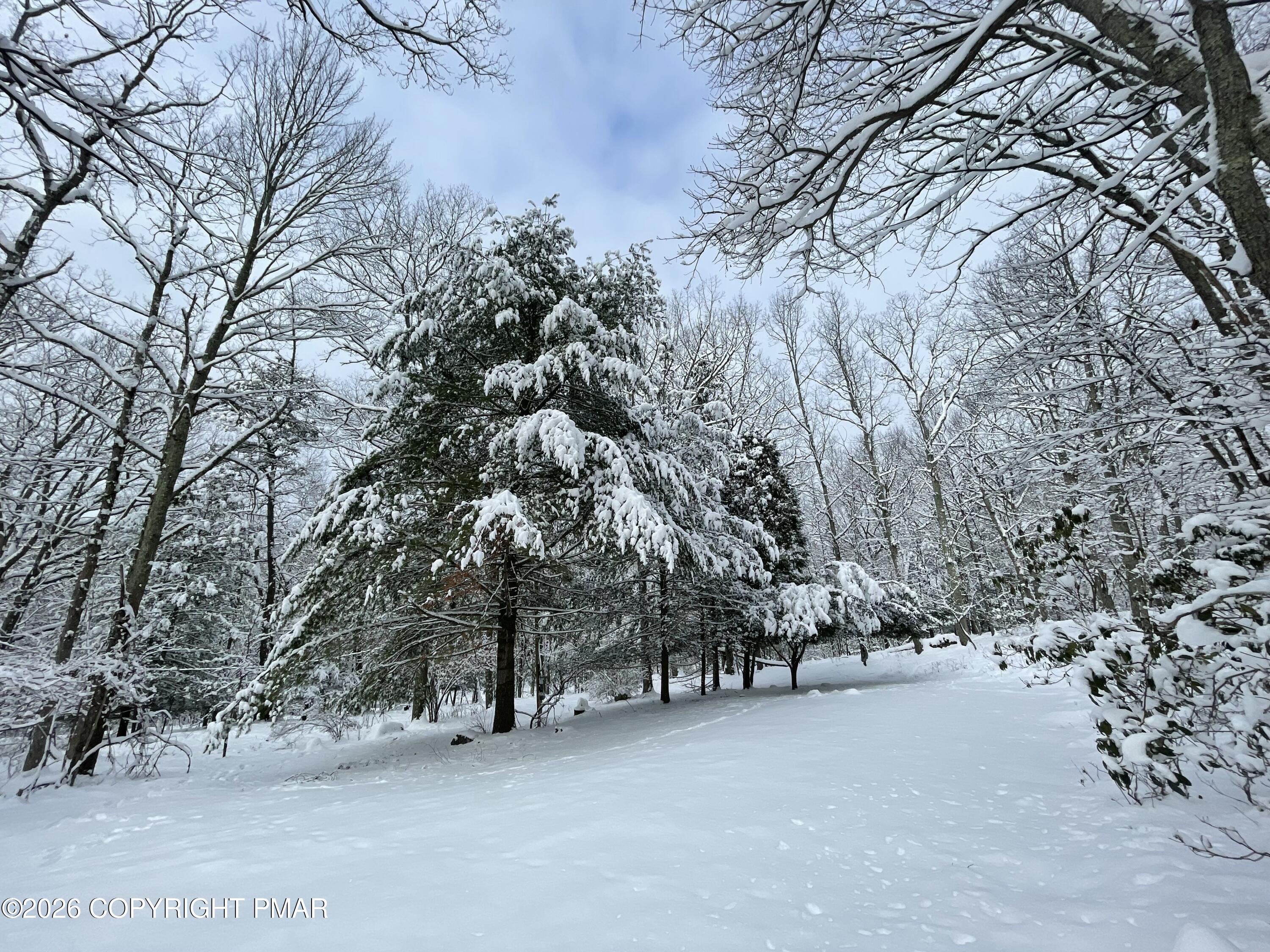 134 Maple Drive Cresco, PA 18326 - Photo 2 of 11 a view of a forest with trees