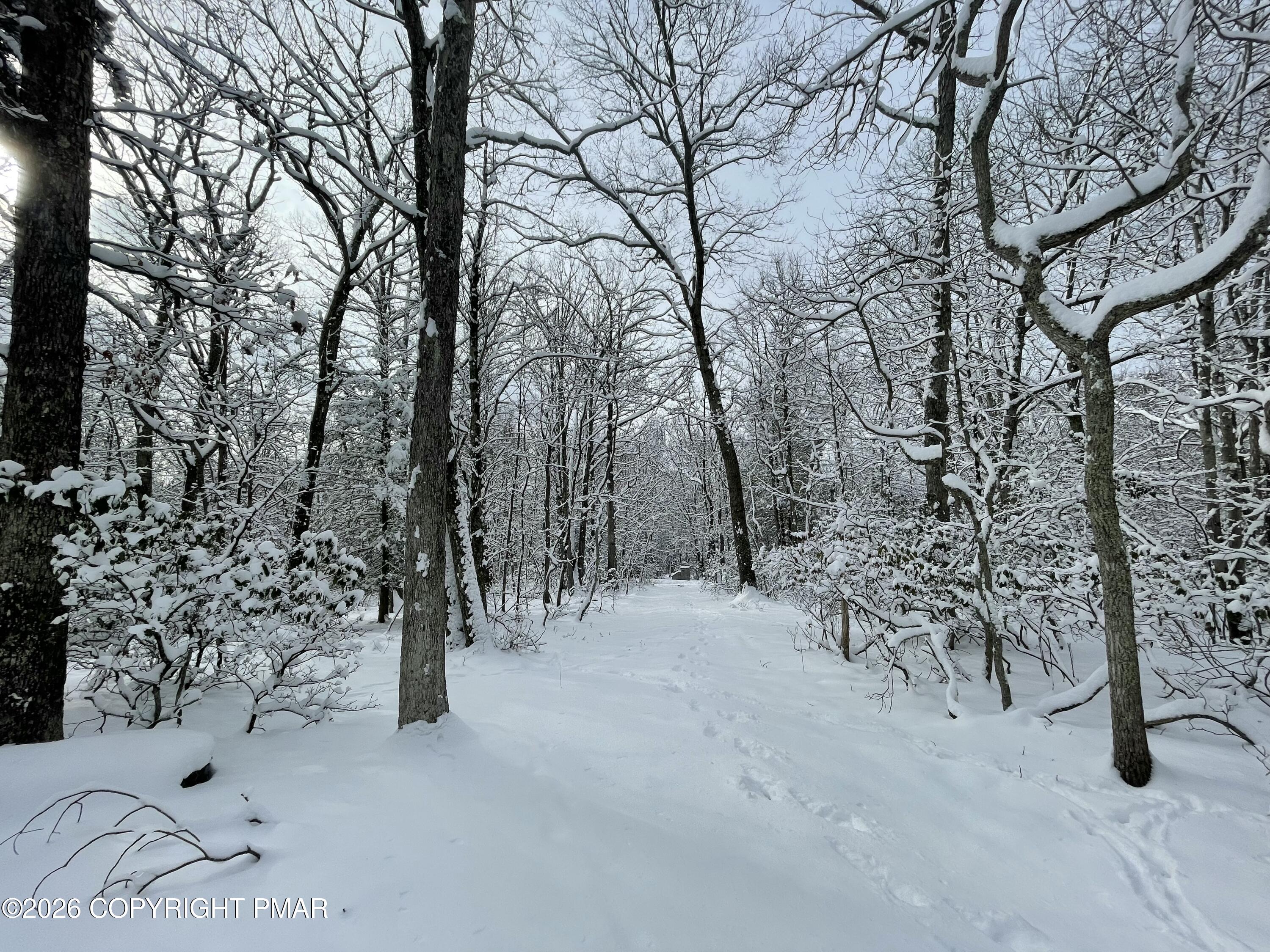134 Maple Drive Cresco, PA 18326 - Photo 3 of 11 a view of outdoor space with trees