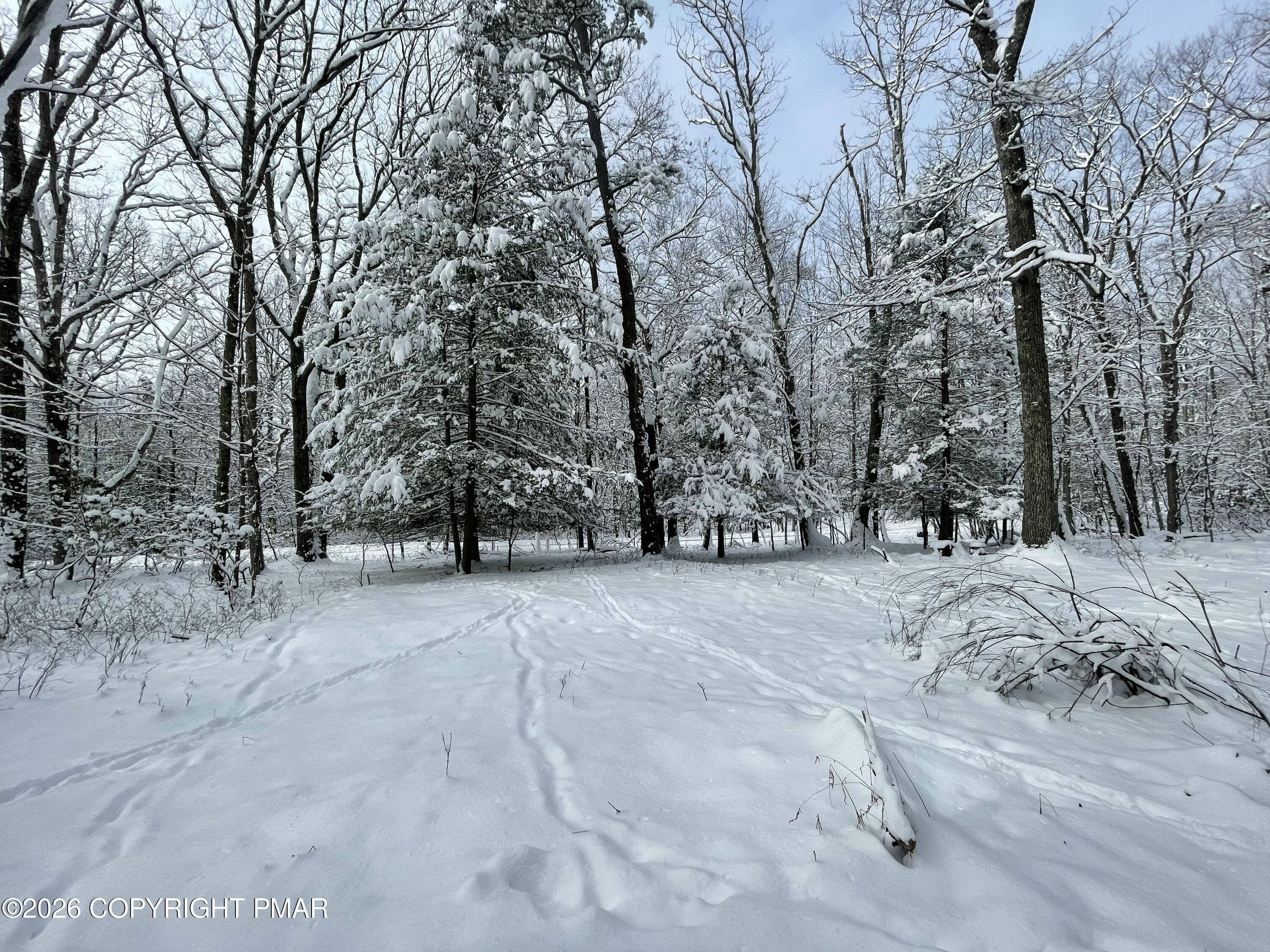 134 Maple Drive Cresco, PA 18326 - Photo 4 of 11 a view of outdoor space and yard