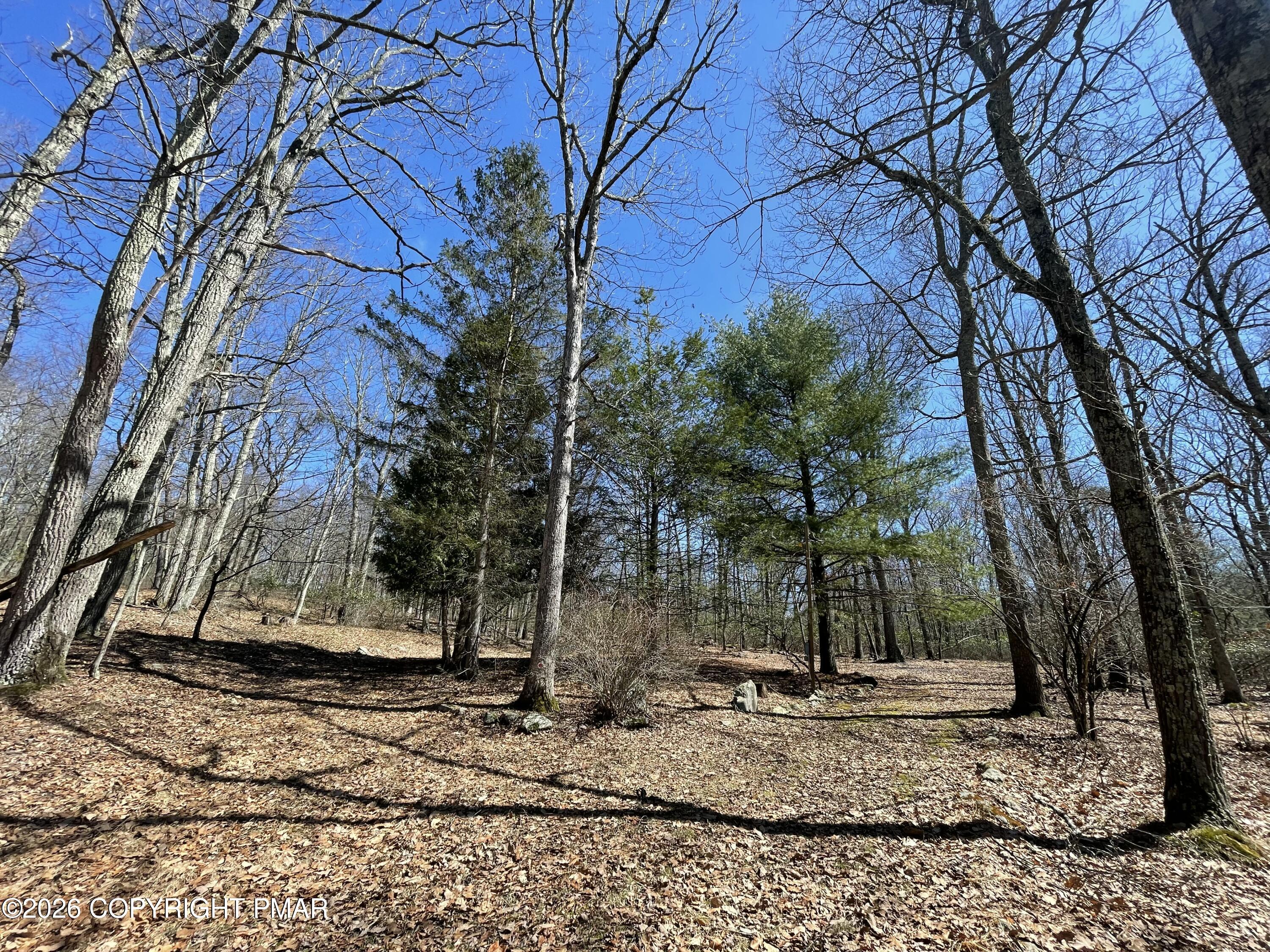 134 Maple Drive Cresco, PA 18326 - Photo 5 of 9 a backyard of a house with lots of green space