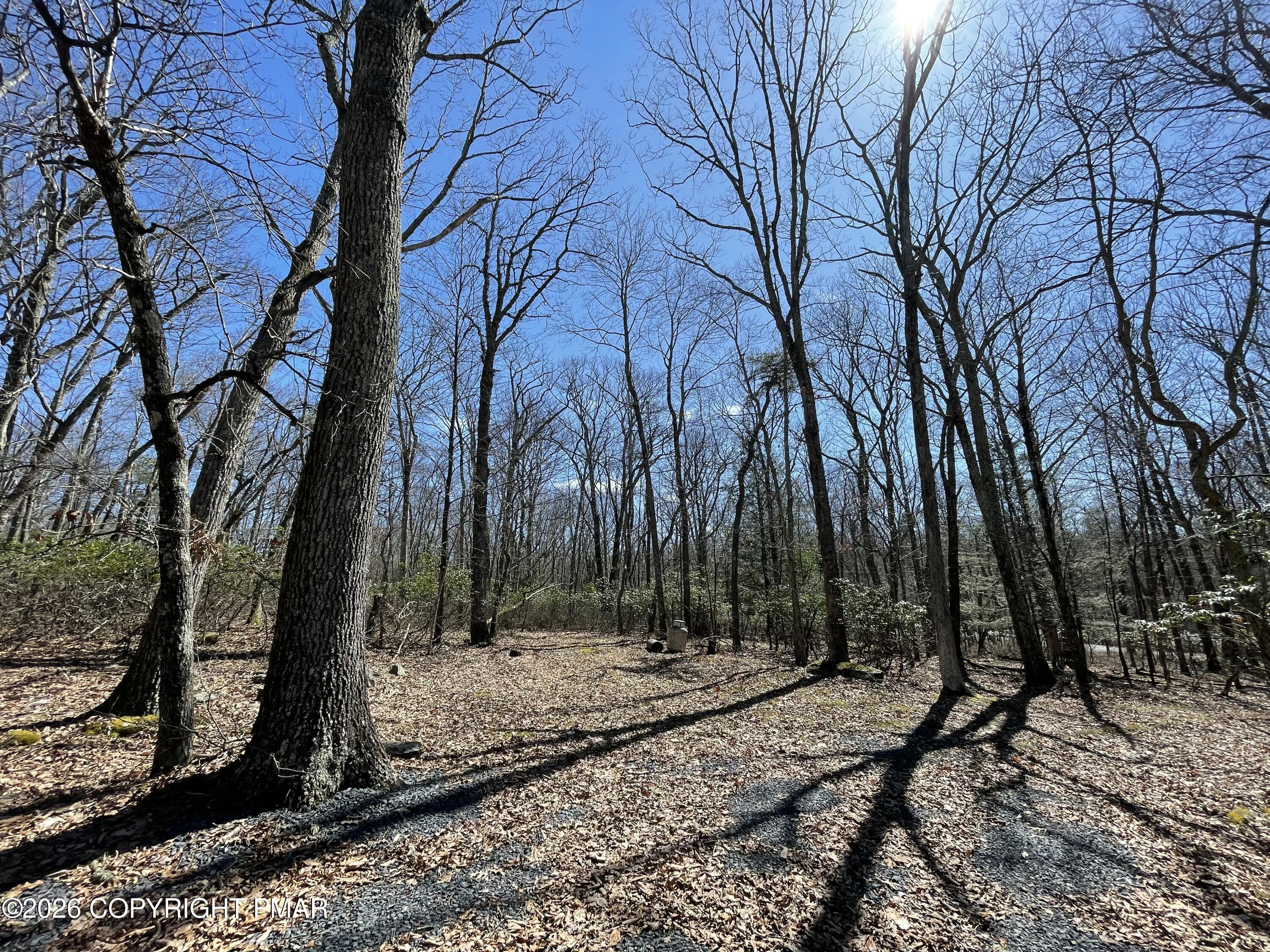 134 Maple Drive Cresco, PA 18326 - Photo 6 of 9 a backyard of a house with lots of green space