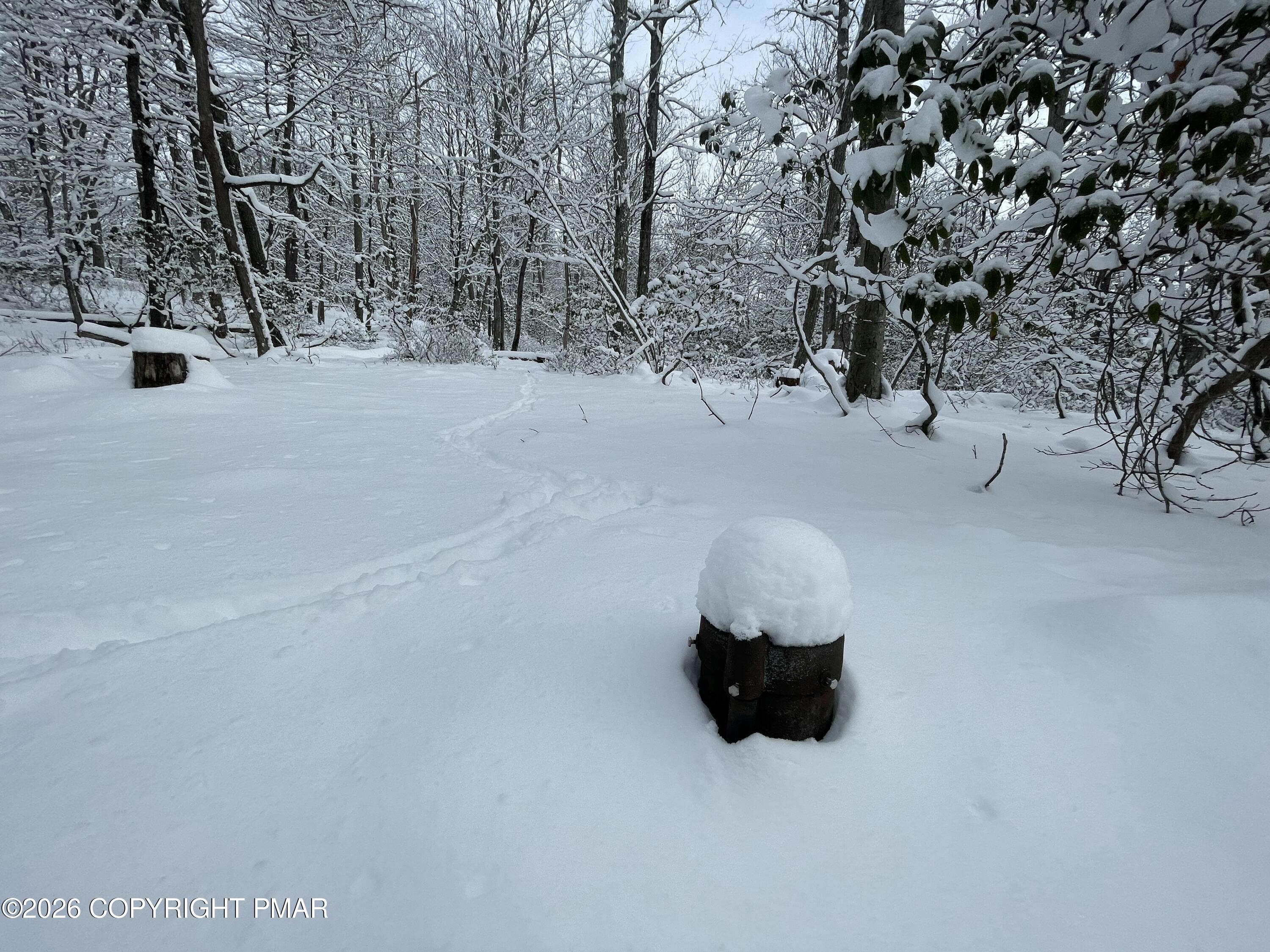 134 Maple Drive Cresco, PA 18326 - Photo 6 of 11 a view of a snow with a tree
