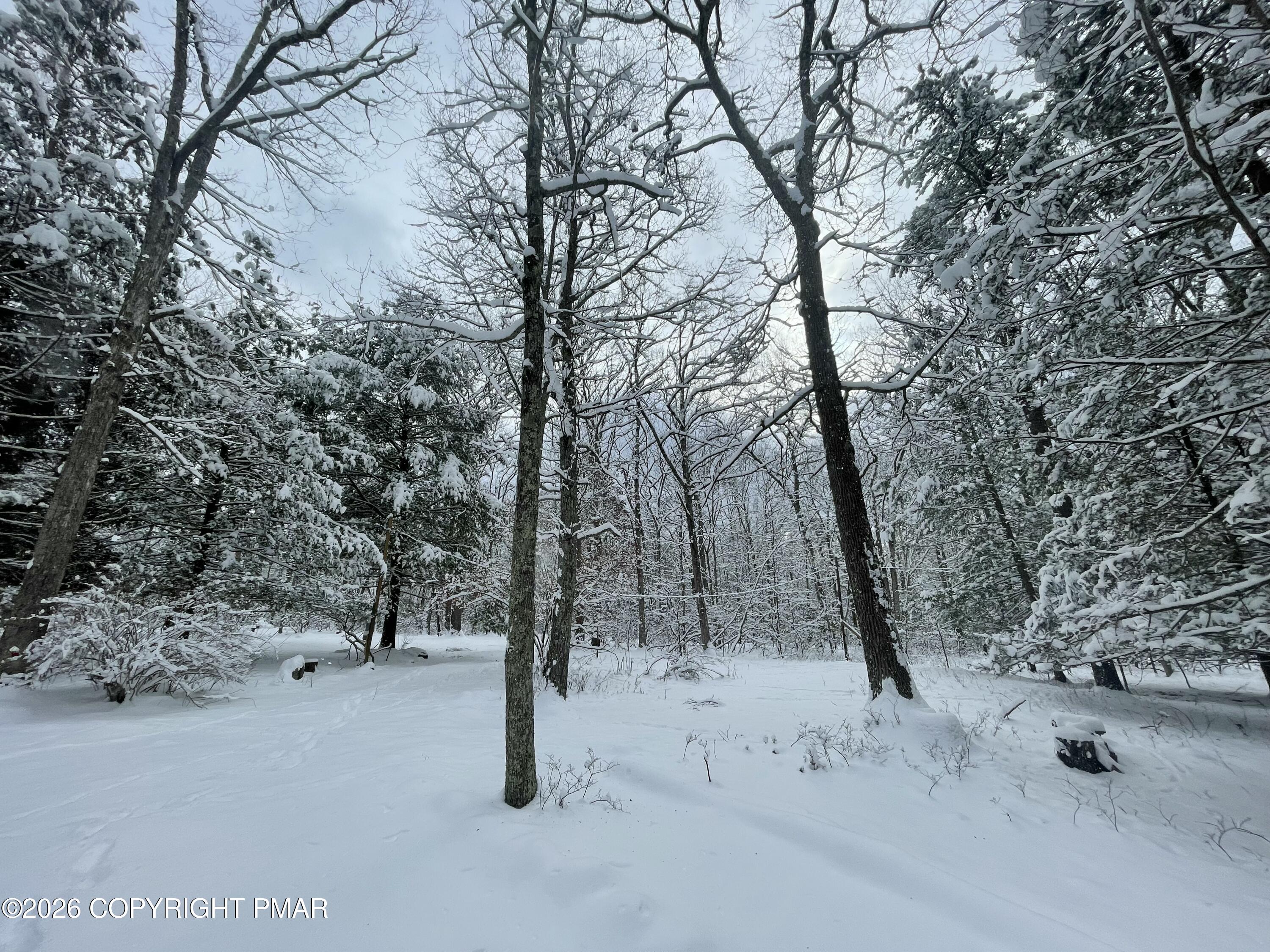 134 Maple Drive Cresco, PA 18326 - Photo 7 of 11 a view of a forest covered with snow