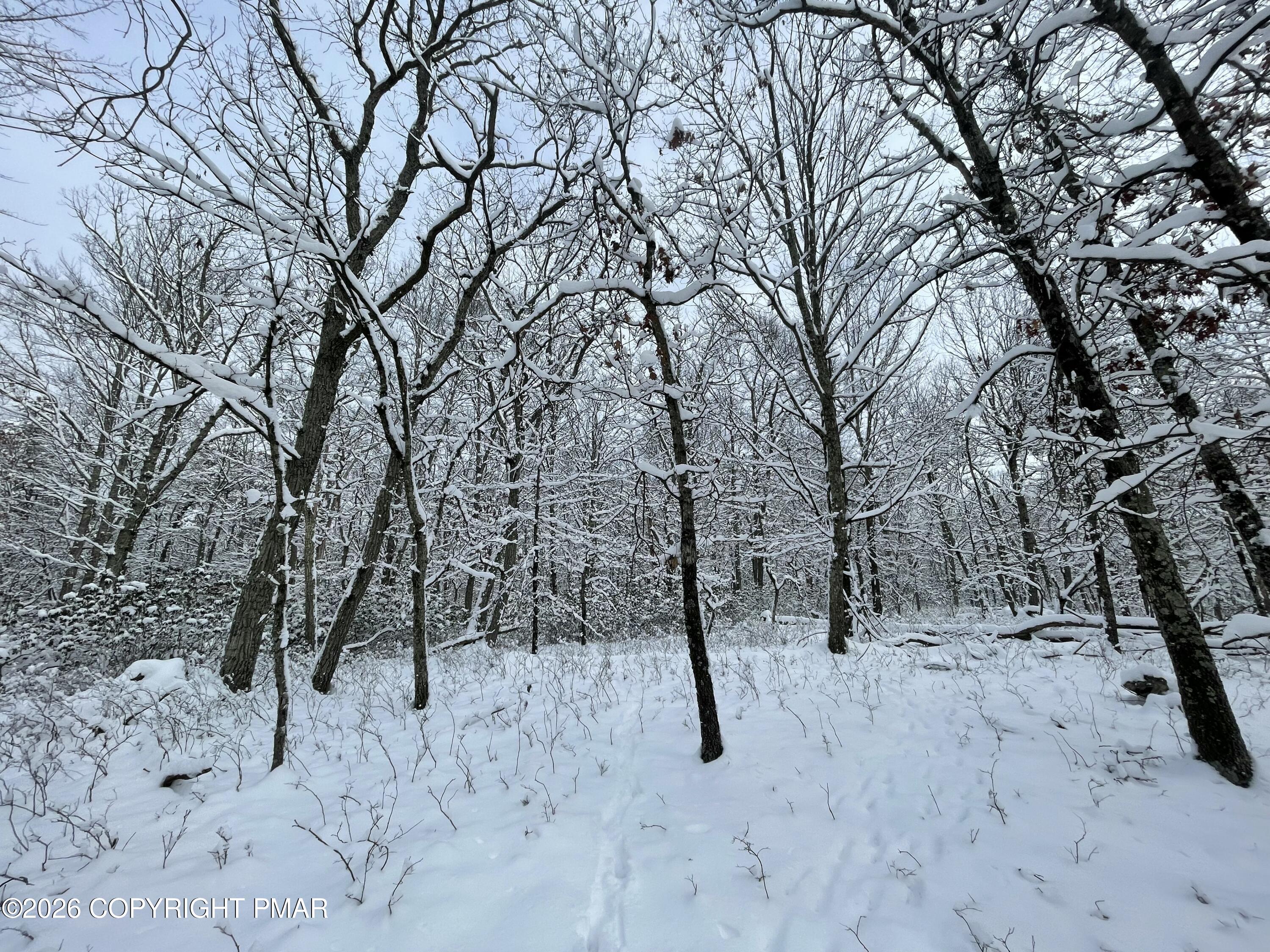 134 Maple Drive Cresco, PA 18326 - Photo 8 of 11 a view of a covered with snow in the background