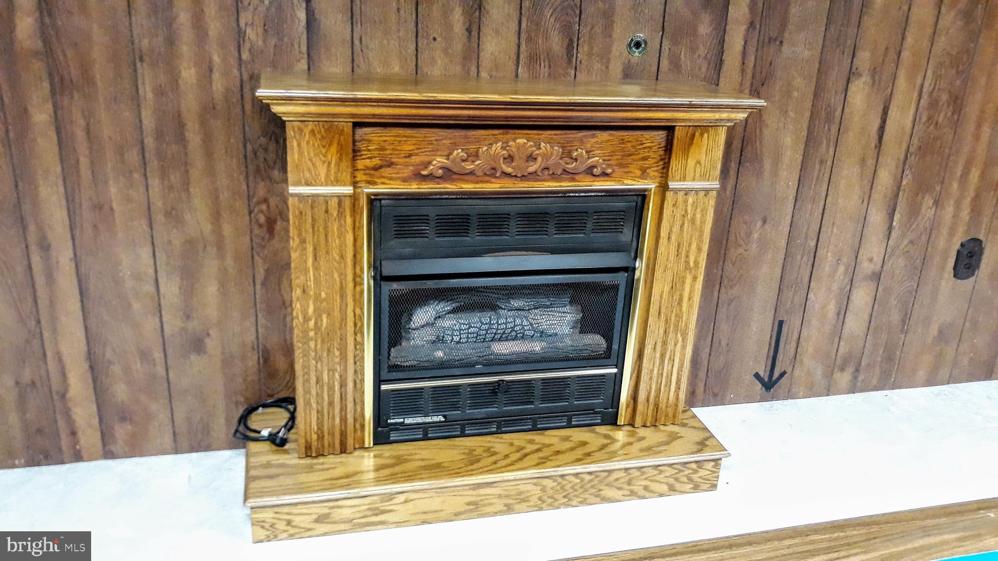 1921 Grant Road Halethorpe, MD 21227 - Photo 20 of 30 Gas Fireplace