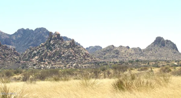 $54,900 | M44 East Horse Ranch Road, Unit 44, St. David, AZ 85630