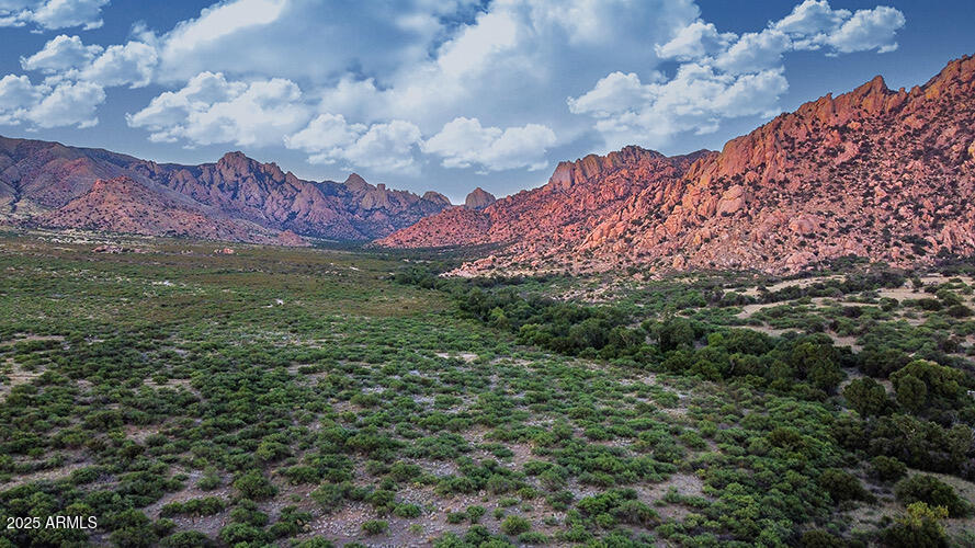 M44 East Horse Ranch Road, Unit 44 St. David, AZ 85630 - Photo 5 of 13 a view of a lot of flowers and trees