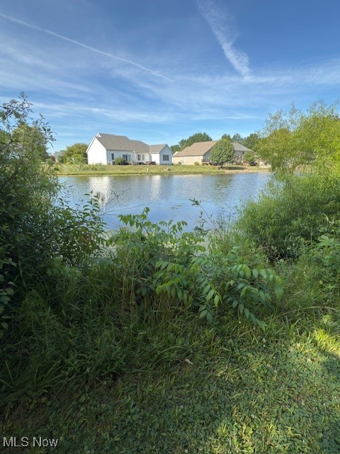 3868 Cook Road Rootstown, OH 44272 - Photo 29 of 44 Water view