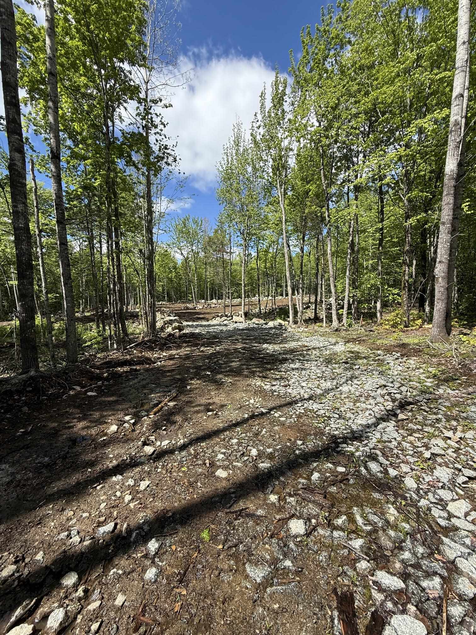 Lot 9 Old County Road Franconia, NH 03580 - Photo 5 of 16