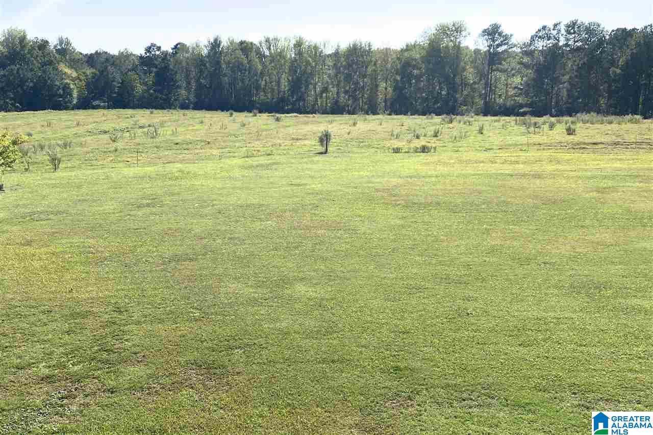 2752 Torrance Road Warrior, AL 35180 - Photo 36 of 40