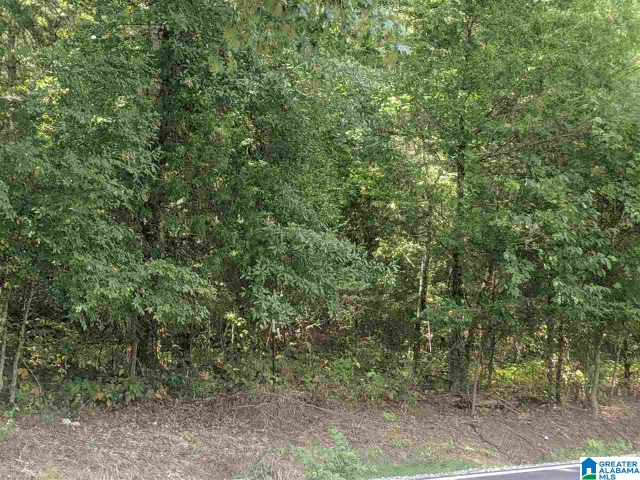 0 Old Broadwell Mill Road Jacksonville, AL 36265 - Photo 13 of 22