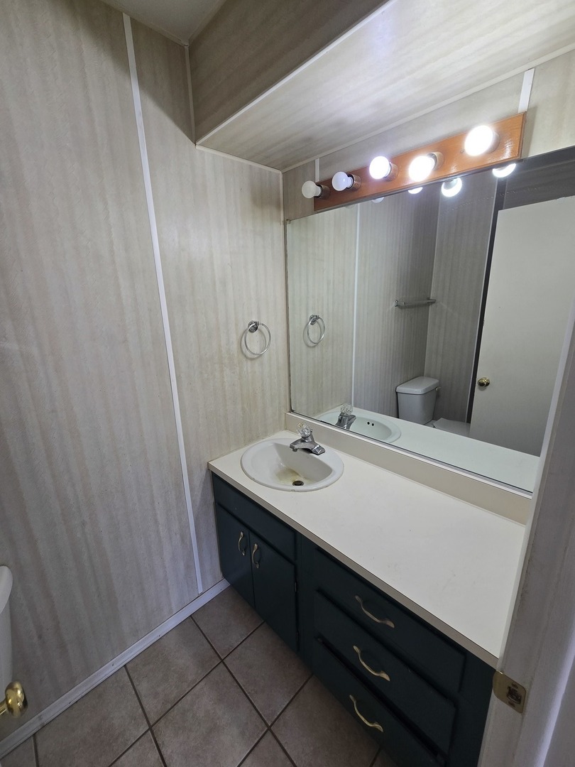 905 Hickory Road Woodstock, IL 60098 - Photo 19 of 32 a bathroom with a sink a vanity and a mirror