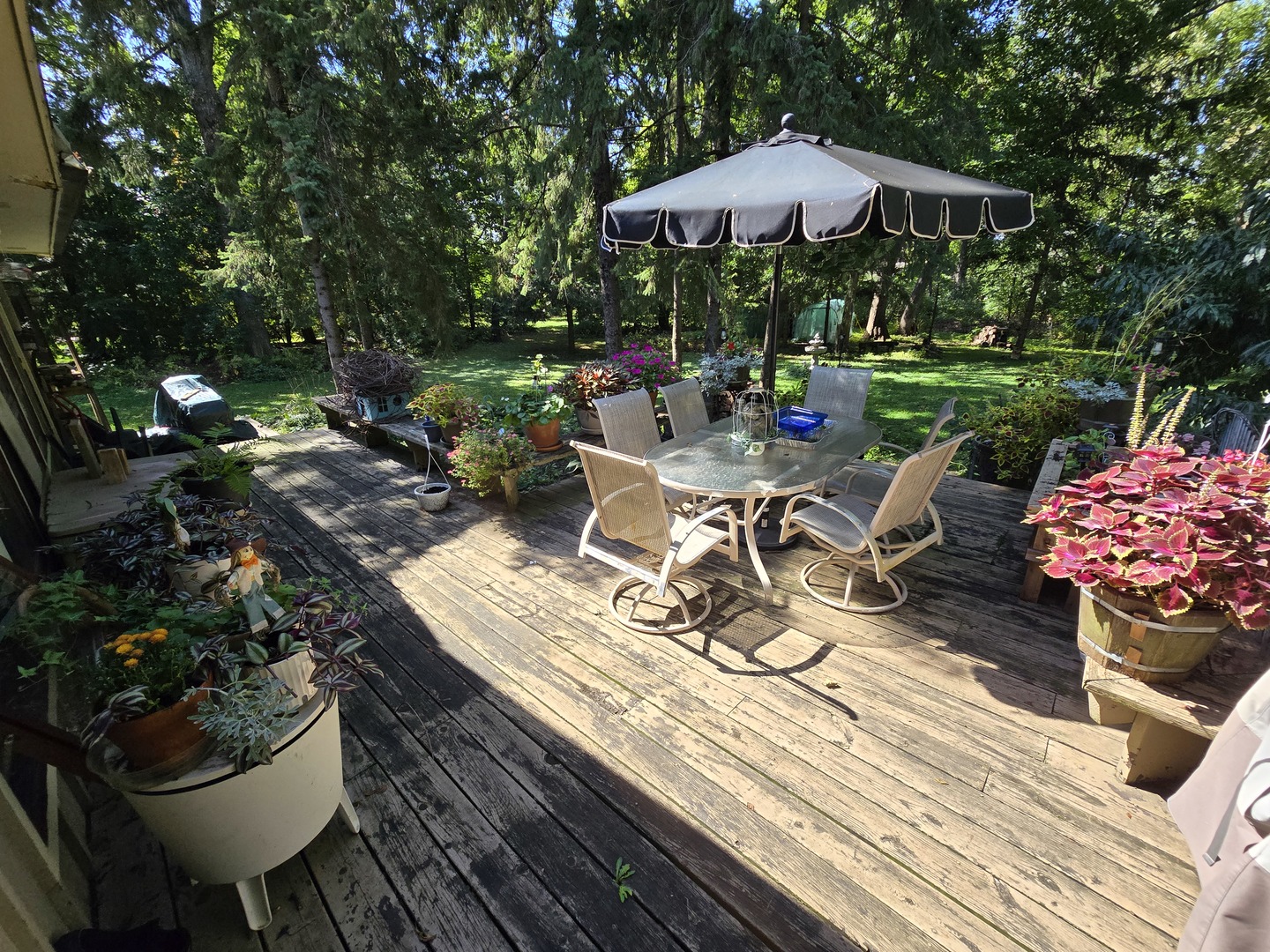 905 Hickory Road Woodstock, IL 60098 - Photo 6 of 32 a view of a backyard with sitting area and furniture