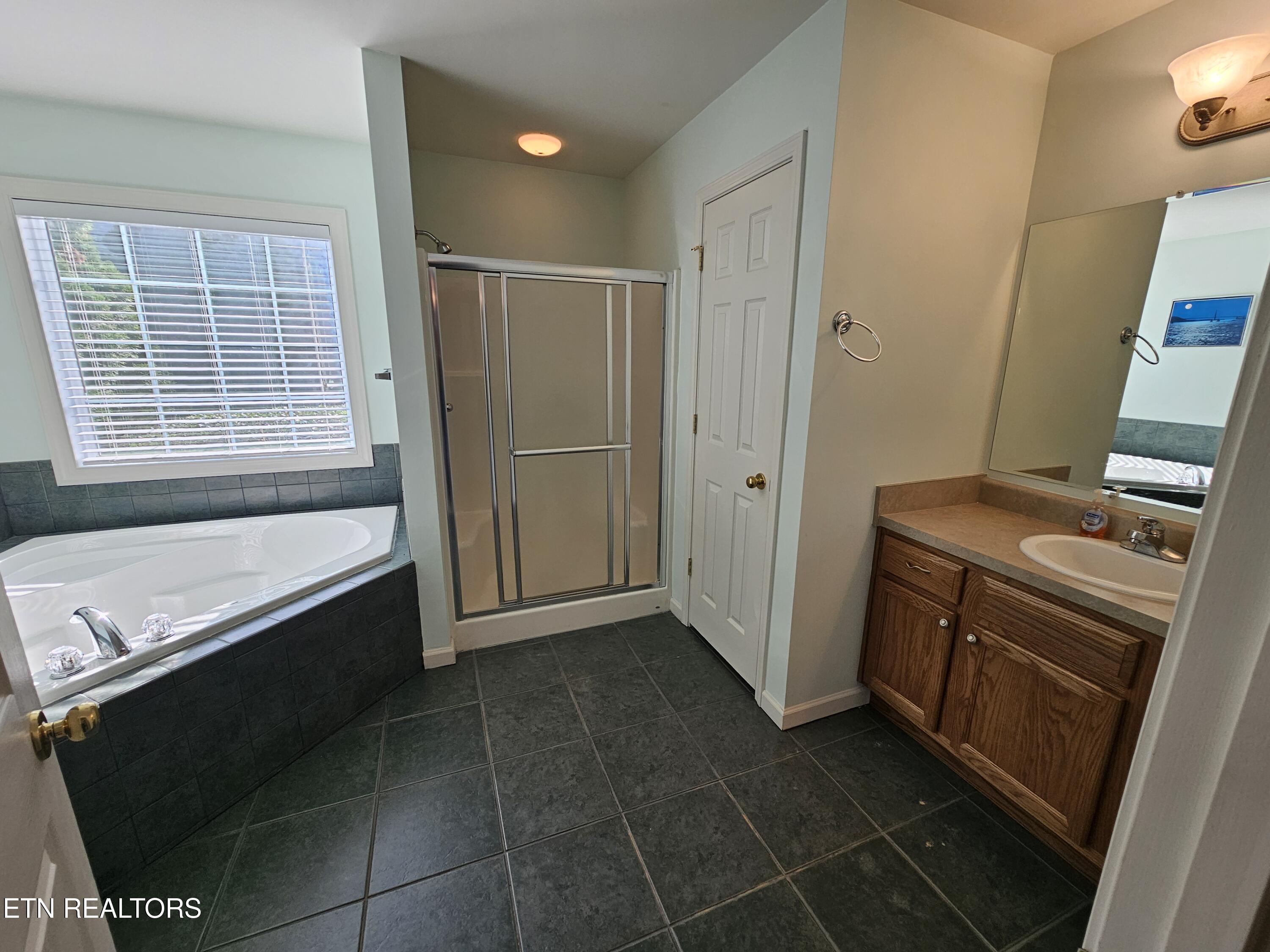 208 Kiowa Point Loudon, TN 37774 - Photo 13 of 19 Master Bath
