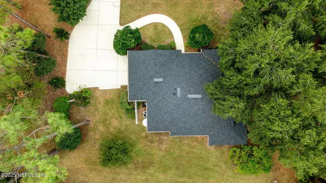 a view of a garden with plants